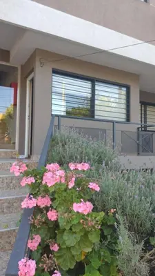 a bunch of pink flowers in front of a house at Dpto en alquiler temporario en VCPaz in Villa Carlos Paz