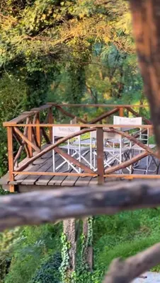 a wooden bridge in the middle of a forest at Cabañas Aufenthalt in Villa General Belgrano