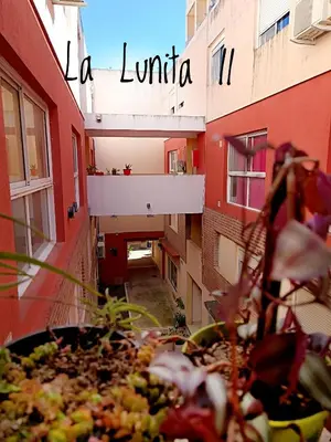 a view of a balcony of a building with a plant at La Lunita in Cordoba