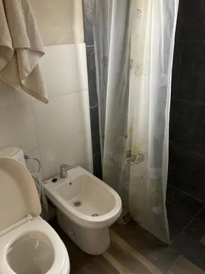 a bathroom with a toilet and a bidet at cabaña Palmira in Santa Rosa de Calamuchita