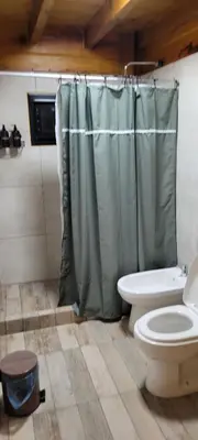 a bathroom with a toilet and a green shower curtain at Cabaña los ciruelos in Santa Rosa de Calamuchita