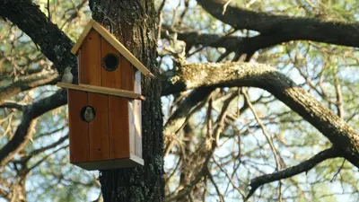 a wooden bird house hanging on a tree at Alma de Adobe in Merlo