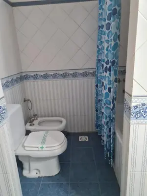 a bathroom with a toilet and a shower curtain at Cabanas Las Pencas, HOSTERIA in Mina Clavero