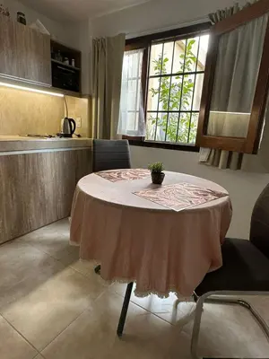 a kitchen with a table with a potted plant on it at EXCLUSIVO LOFT CENTRICO in Alta Gracia