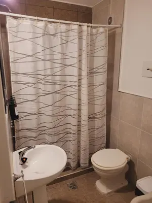 a bathroom with a toilet and a shower curtain at Olmos Córdoba Apart in Cordoba