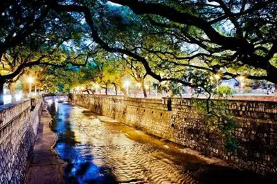 a river with trees hanging over a stone wall at Olmos Córdoba Apart in Cordoba