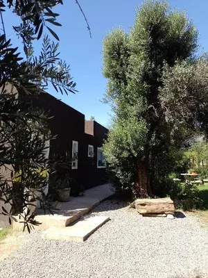 a house with a tree in front of it at Casa Villa Alba Carpinteria in Carpintería