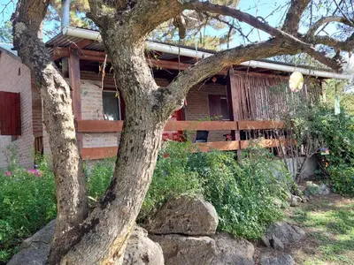 a tree in front of a building at Luna Plateada - Terrafirme in Villa Yacanto