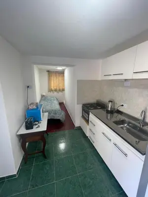 a kitchen with a sink and a table in a room at Monoambiente El Sosiego in Alta Gracia