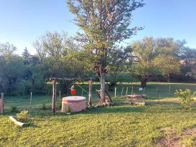 a garden with a tree and a swing at Abrazados Suites del Valle in Villa Yacanto