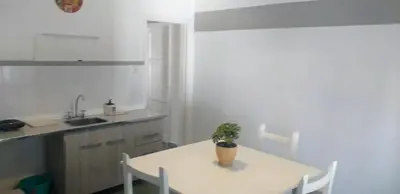 a kitchen with a table with a potted plant on it at Alojamiento Taravella in Cordoba