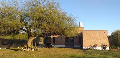 a house with a tree and chairs and a building at Casa del viñedo in Villa de Las Rosas