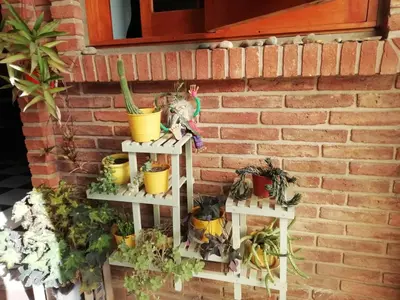 a plant stand with potted plants on it next to a brick wall at La casa de Lily in Alta Gracia