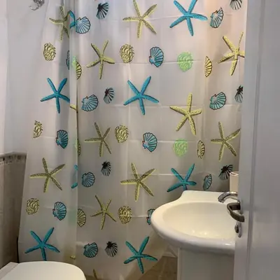 a bathroom with a shower curtain with starfish at Hipólito Yrigoyen 150 in Cordoba