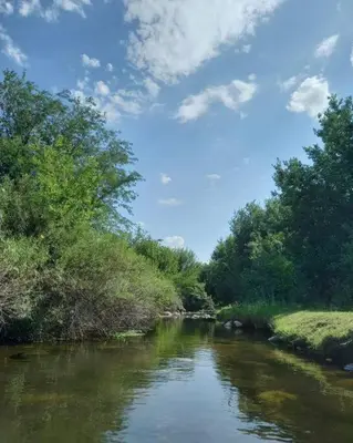 a river with trees on the side of it at Hospedaje Sauce Linda - Casa Brea in Piedra Pintada