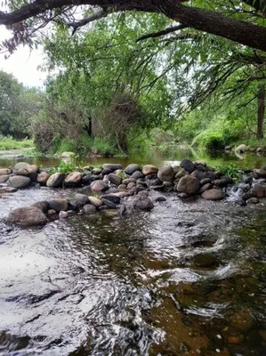 a river with rocks in the water and trees at Hospedaje Sauce Linda - Casa Brea in Piedra Pintada