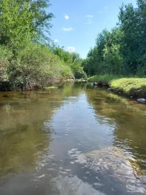 a river with trees on the side of it at Hospedaje Sauce Linda - Casa Brea in Piedra Pintada