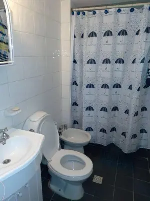 a bathroom with a toilet and a sink and a shower curtain at Depto Plaza España in Cordoba