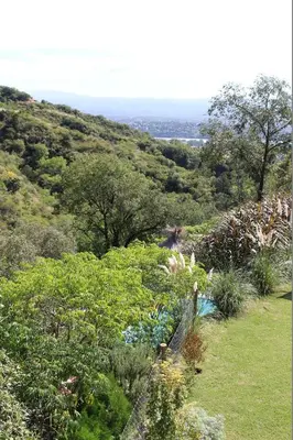 a view of a hill with trees and plants at Moradillo Apart in La Cuesta