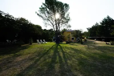 a tree in the middle of a yard with a playground at LAS PRINCESAS Cabañas frente al rio in Los Reartes
