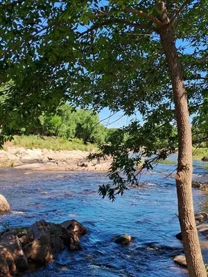 a tree in the middle of a river at Casa del Sol in Santa María