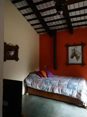 Gallery image of Cabañas spa el petrel in San Javier