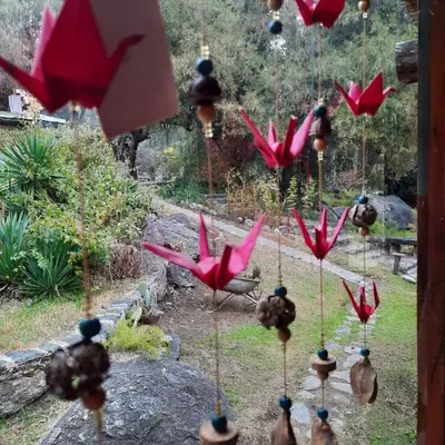 Gallery image of Cabañas spa el petrel in San Javier