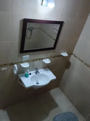 a bathroom with a sink and a mirror at tu lugar 2 in Cordoba