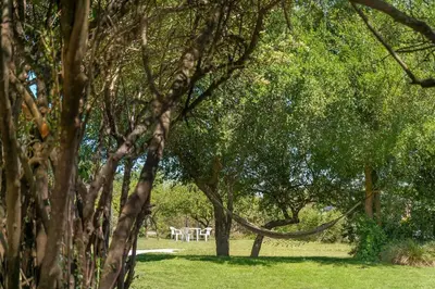a group of trees with white tables in the grass at Cabaña para relajarse con vista panorámica in Villa General Belgrano