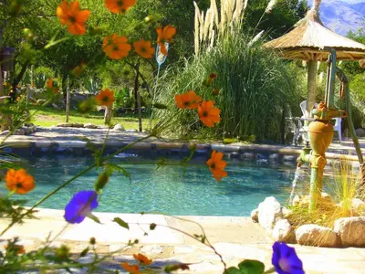 a swimming pool with orange flowers and an umbrella at Cabañas en Piedras Maia in Merlo