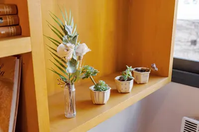 a vase of flowers on a shelf with plants at Departamento Centrico en Villa Carlos Paz in Villa Carlos Paz
