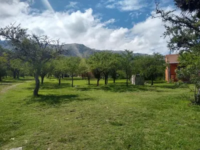 a field with trees and a building in the background at Cabañas Chacras del Arroyo Vidal in Carpintería