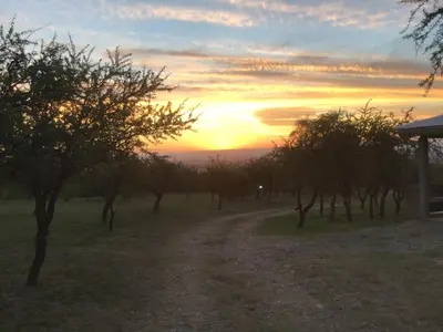 a row of trees with a sunset in the background at Cabañas Chacras del Arroyo Vidal in Carpintería