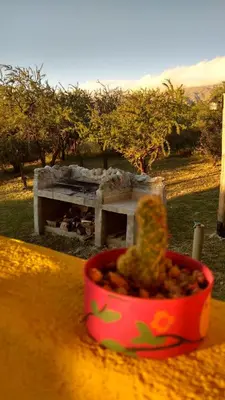 a cactus in a red bowl on a table with a fireplace at Cabañas Chacras del Arroyo Vidal in Carpintería