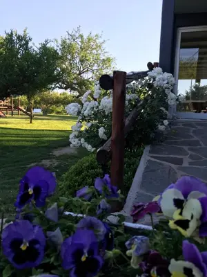 a fence with purple and white flowers in front of a house at Brisas de Nono in Nono