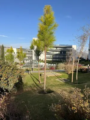 a palm tree in a park in front of a building at Departamento Veneto Village - D - in Villa Parque Siquiman