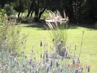 a garden with purple flowers and a bench in the background at Puesto Victoria - Adults only in Yacanto
