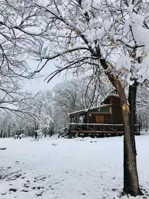 a train car in a snow covered field with a tree at NOMADE cabin rent in San Antonio de Arredondo