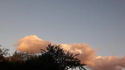 a group of clouds in the sky with a tree at La aurora in Pantanillo