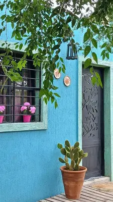 a blue house with a potted plant and a window at La aurora in Pantanillo