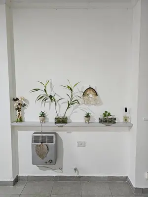 a shelf with potted plants on a wall at MilcaCeleste Nueva Cordoba II in Cordoba