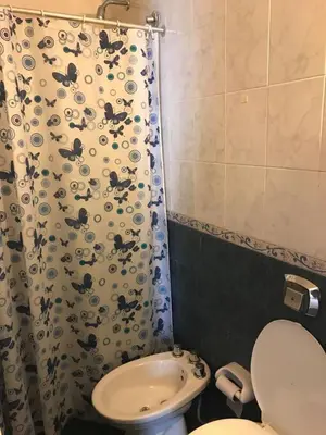 a bathroom with a toilet and a shower curtain at Depto 2 in Villa Carlos Paz