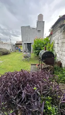 a pile of purple plants in a yard at Monoambiente calamuchita in Santa Rosa de Calamuchita