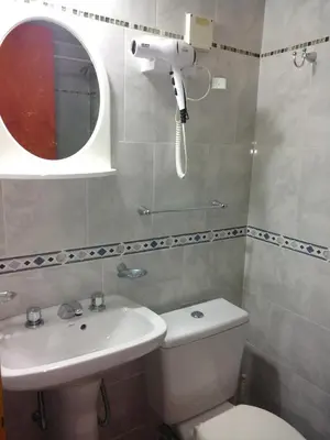 a bathroom with a toilet and a sink and a mirror at Aparts Altos del Centro in Merlo