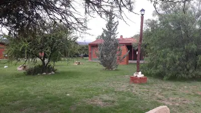 a yard with a house and a street light and trees at Dos Soles in Mina Clavero