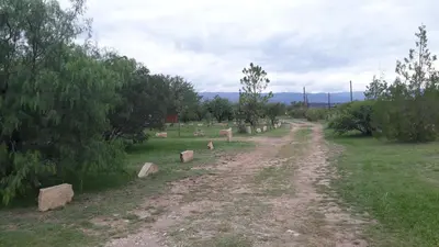 a dirt road in a field with trees and rocks at Dos Soles in Mina Clavero