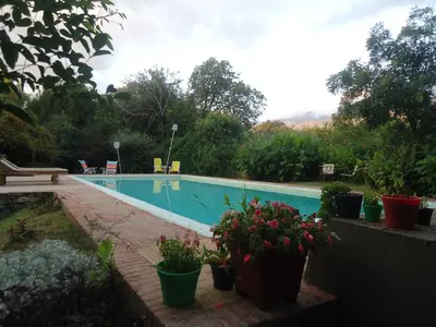 a swimming pool with potted plants around it at Las Rukas in San Javier