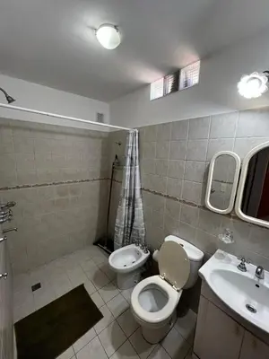 a bathroom with a toilet and a sink at ALQUILO DEPTO AMUEBLADO 2 DORMITORIOS EN MICROCENTRO in Río Cuarto