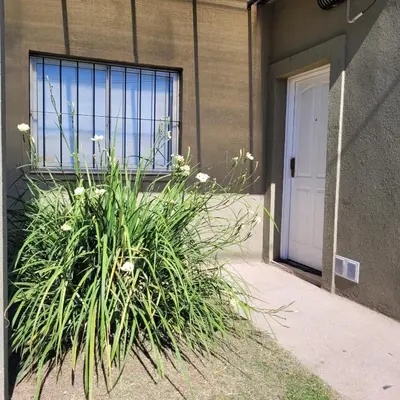 a plant in front of a building with a window at Casa Nuup in Río Tercero