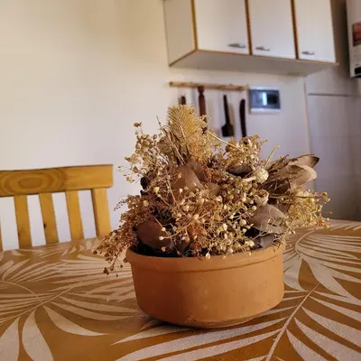 a potted plant sitting on top of a table at Casa Nuup in Río Tercero